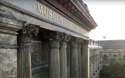 Die Geschichte des Naturkundemuseums 